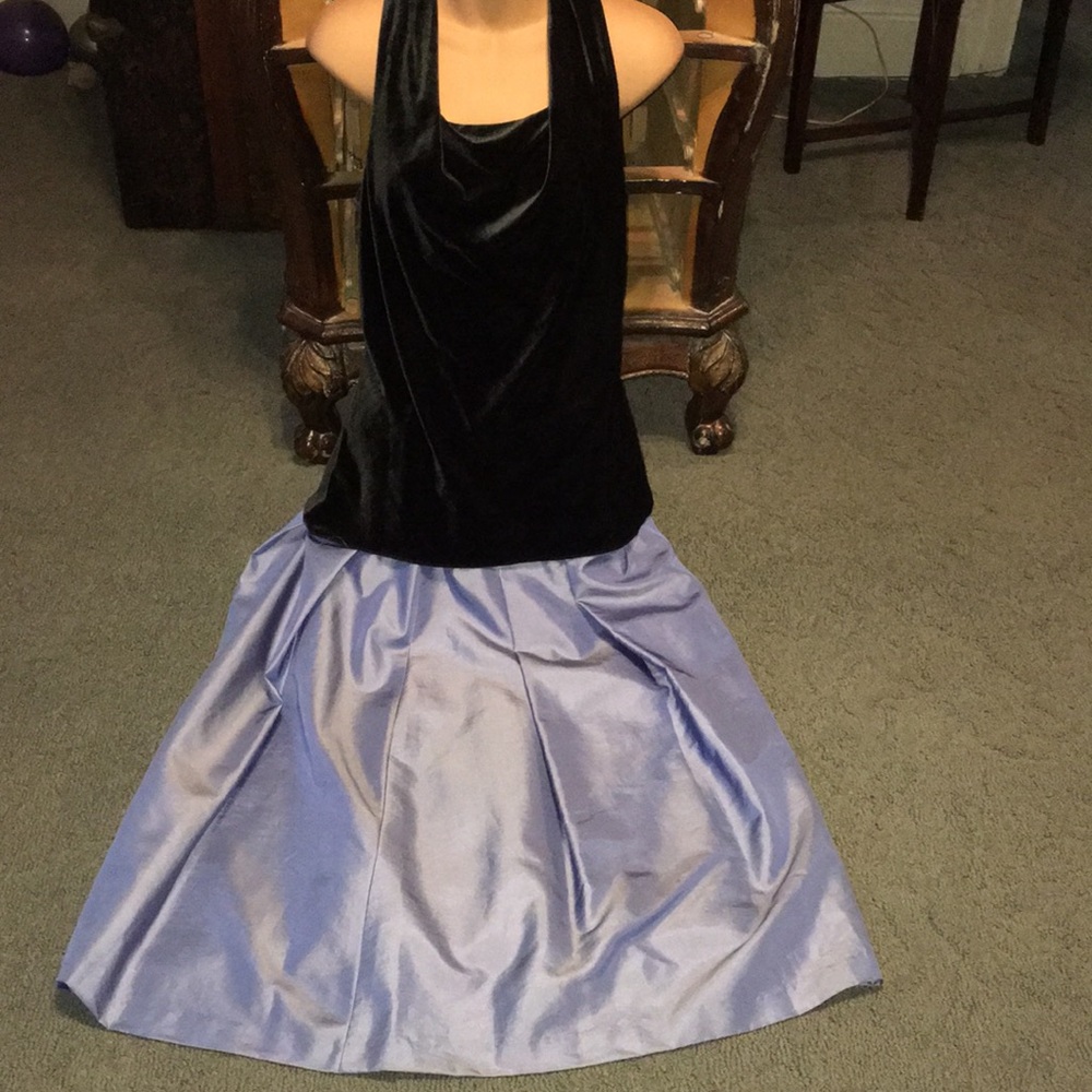 Express NWTShimmer Skirt & Limited velour top